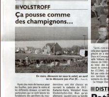 Image repu du 8 avril 2012