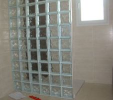 Paroi de douche en briques de verre