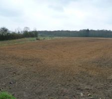 Terrain