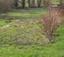 Emplacement de la maison