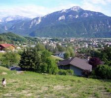 Terrain - vue du haut