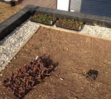 Vegetalisation de la toiture avec les 480 sedums