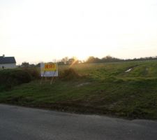 Terrain pour acceillir notre futur maison