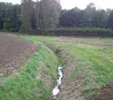 "Petit foss&eacute;"