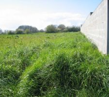 Terrain hors lotissement de 2000 m2 . un beau rectangle et relativement plat