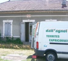 Le traitement anti "bébêtes" a commencé !