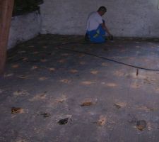 Injection de l'insecticide dans les solives de l'étage.
