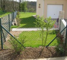 Nettoyage des haies