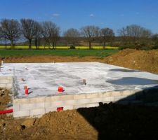 La dalle est finie. Maintenant il faut attendre 3 semaines avant de commencer les élévations...