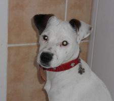 Notre petite Galia a rejoins notre famille le 15/02/2012