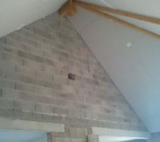 Plafond salon terminé