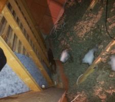 Petits tas de neige finissant de fondre, raison des aur&eacute;oles ayant macul&eacute; les plafonds du premier &eacute;tage