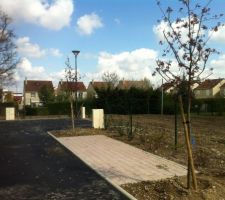 Fin de la viabilisation du terrain