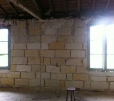 Déjointage et ravalement du salon