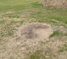 Tas de déchets, vis, pointes ...que nous avons dû nettoyé car impossible d'y passer avec le tracteur/tondeuse sous peine de crever un pneu. C'était urgent, l'herbe a poussé en 9 mois.