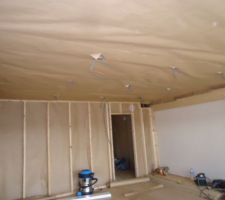 Pose pare vapeur salon sur plafond