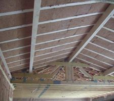 Laine de bois sous plafond rampant dans le salon.