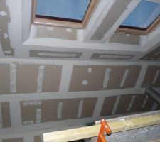 Velux mezzanine