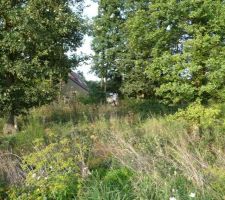 Terrain avant permis de construire