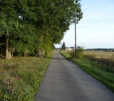 Terrain avant permis de construire