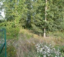 Terrain avant permis de construire