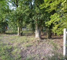 Terrain avant permis de construire