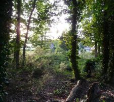 Terrain avant permis de construire