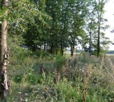 Terrain avant permis de construire