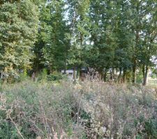 Terrain avant permis de construire