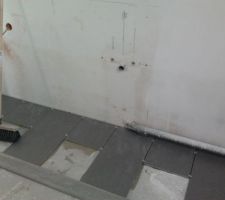 Couleur carrelage sol SdB 1er