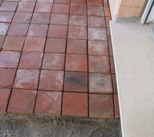 Carreaux de terre cuite avant jointoiement