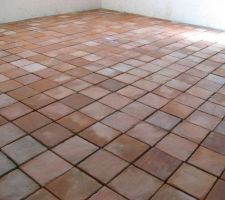 Carreaux de terre cuite avant jointoiement