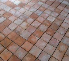 Carreaux de terre cuite avant jointoiement