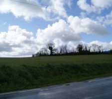 Voici le terrain du futur lotissement.