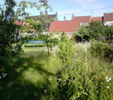 Vue du fond du jardin.