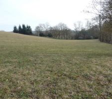 Terrain : notre parcelle au premier plan, et une autre parcelle au fond.