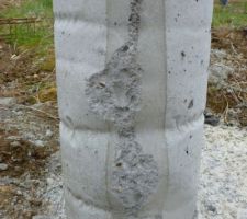 Etat des plots le lendemain de la coulée