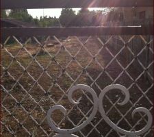 Et Voici la premi&eacute;re photo de notre terrain. terrain de 231m&sup2; en plein soleil.