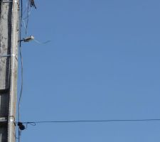 Fil télécom voisin coupé