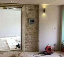 Début du placage du séjour-cuisine, avec en fond la résille électrique du salon
