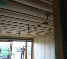 Plafond insuffler