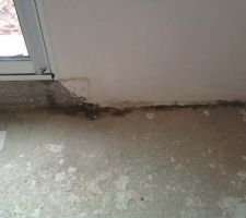 Le Sol du s&eacute;jour