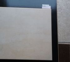 Carrelage reste de la maison( sauf sdb, chambres et bureau)