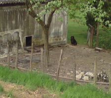 Inspecteur des travaux fini !!