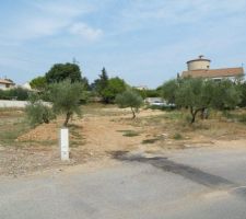 Entr&eacute;e du terrain