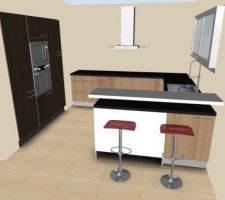 Plan 3D de l'implantation cuisine fait-maison!! Evidemment, le plan snack sera de la même couleur que le plan de travail, et il y aura un panneau déco derrière le meuble et sur le côté.