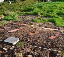 Mon petit jardin