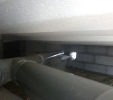 Sous le vide sanitaire