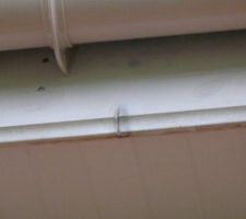 Cache moineau coup de scie!