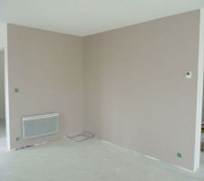 Mur taupe du séjour